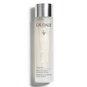 CAUDALIE VINOPERFECT ESSENCE CONCENTRE ECLAT 100ML